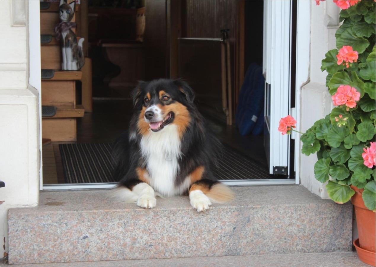 Ferienwohnung Haus Sutter ช็อปฟ์ไฮม์ ภายนอก รูปภาพ